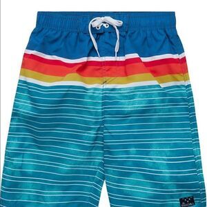 Big Chill Boys' Swim Trunks - UPF 50+ Quick Dry Shark Board Shorts Bathing Suit
